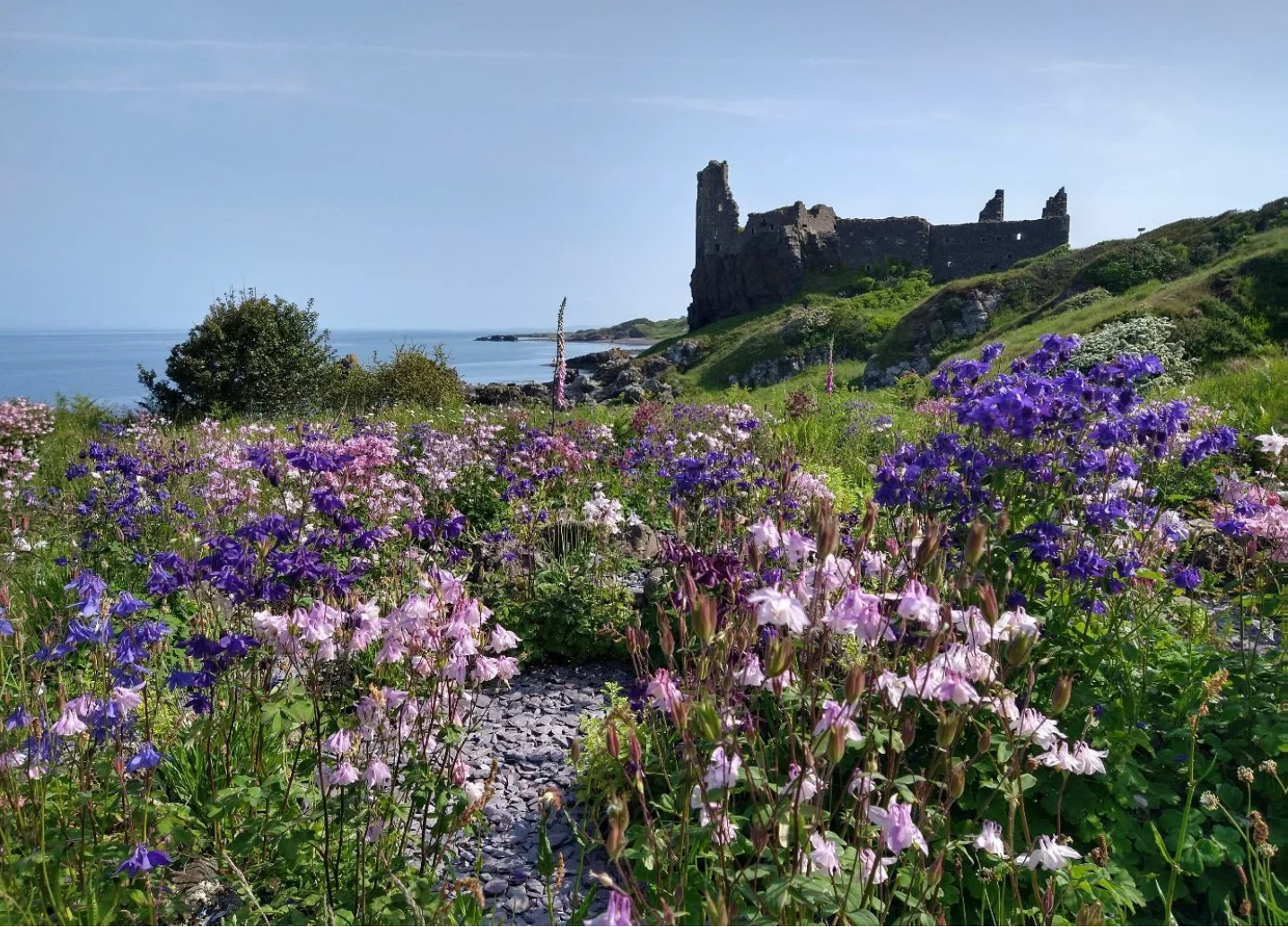 Ruins overlooking wildflower field by the sea.